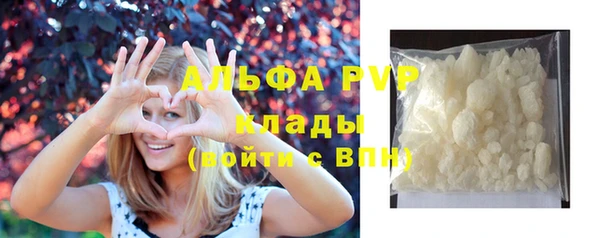 гашик Верея