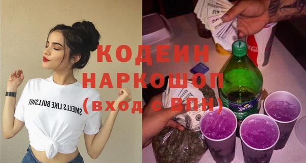 гашик Верея