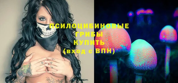 гашик Верея
