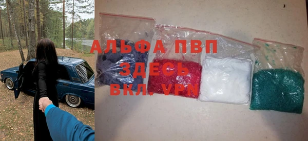 гашик Верея