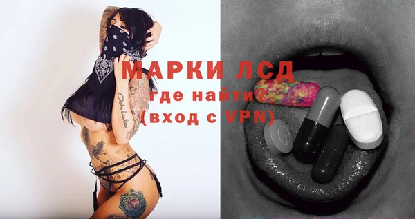 гашик Верея