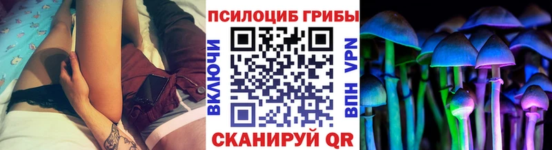 блэк спрут ССЫЛКА  Горбатов  Галлюциногенные грибы мухоморы 
